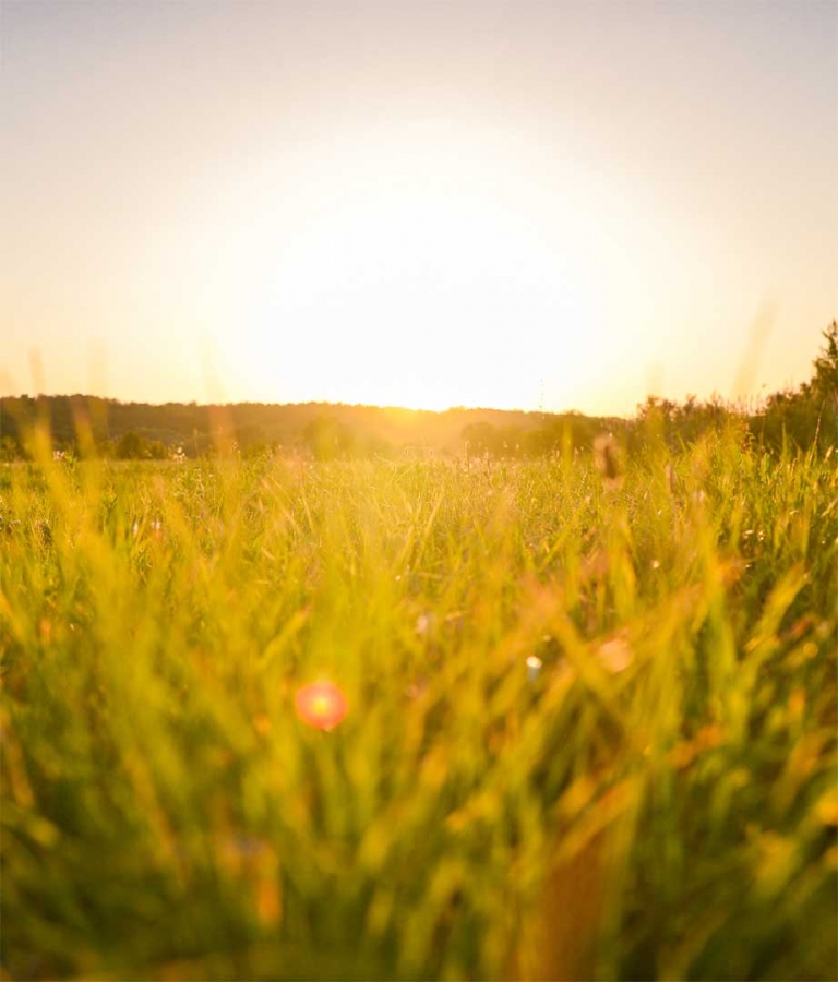 Le métier aménageur foncier Les Lotisseurs de l'Ouest